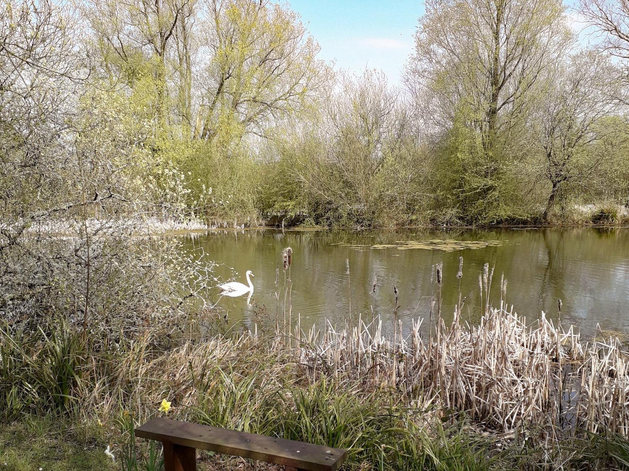 Herons Nest Bourton-on-the-Water Exterior photo